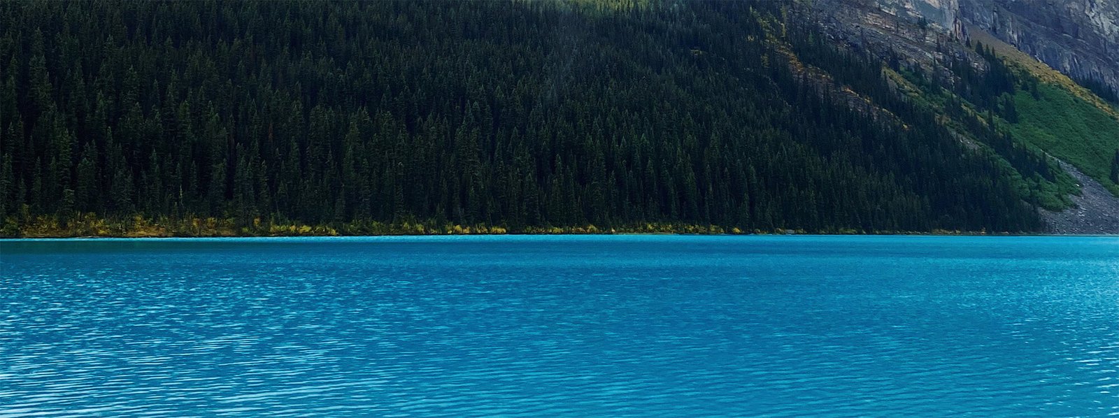 Στην εκδήλωση της εταιρείας τάδε