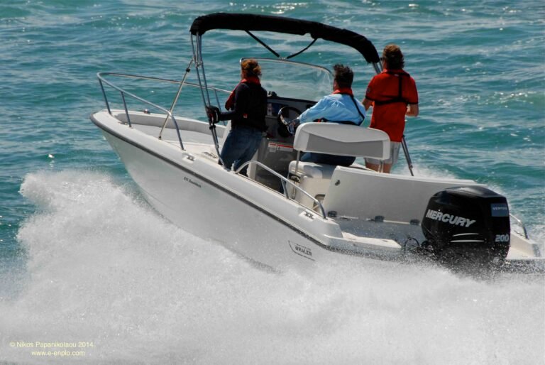 Boston Whaler Demo