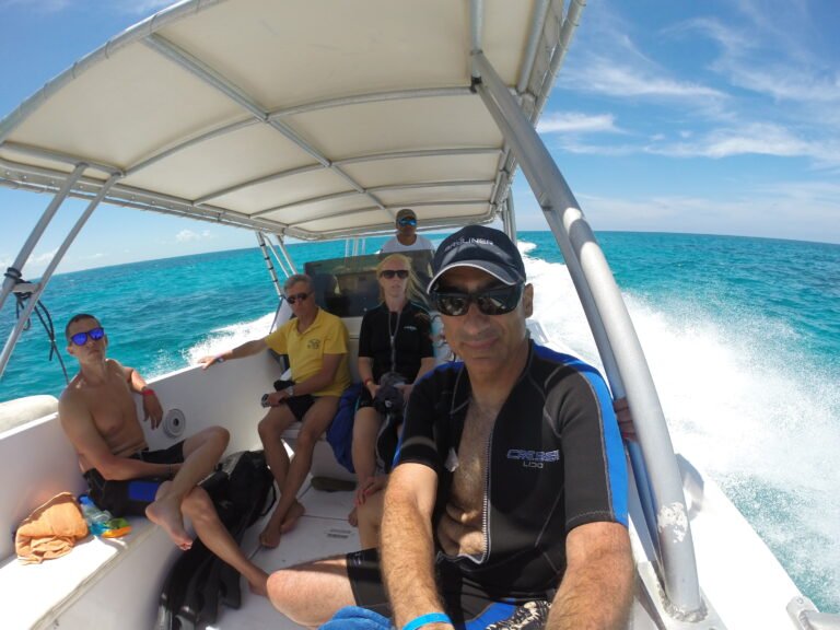 Ταξίδι στο όνειρο δεμο